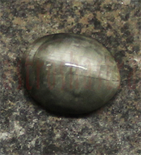 No Image Found